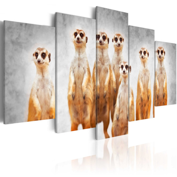 Tablou Meerkats