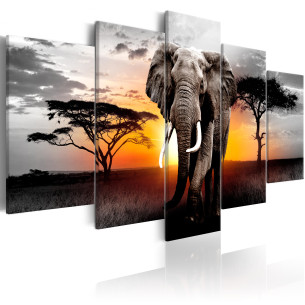 Tablou Elephant At Sunset