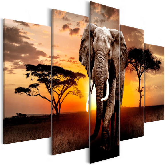 Tablou Wandering Elephant (5 Parts) Wide