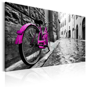 Tablou Vintage Pink Bike