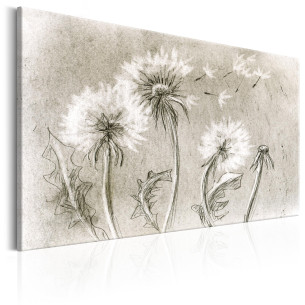 Tablou Dandelions (Pencil...