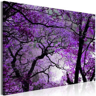 Tablou Purple Afternoon (1...