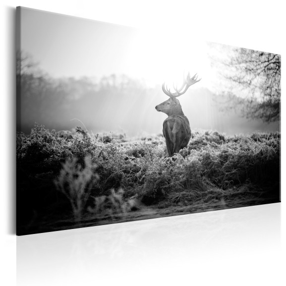 Tablou Black And White Deer