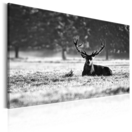 Tablou Lying Deer-01