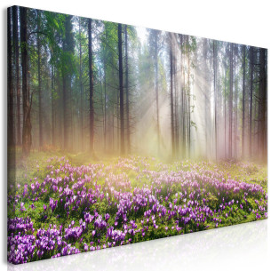 Tablou Purple Meadow (1...