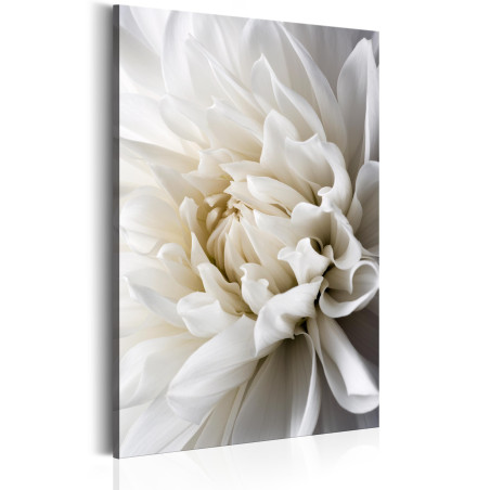 Tablou White Dahlia-01