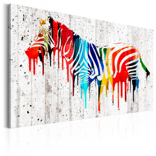 Tablou Colourful Zebra