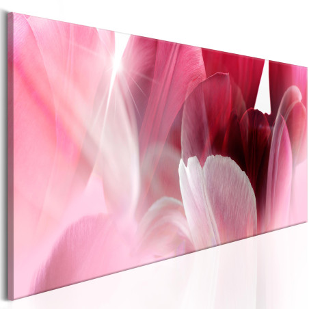 Tablou Flowers: Pink Tulips-01