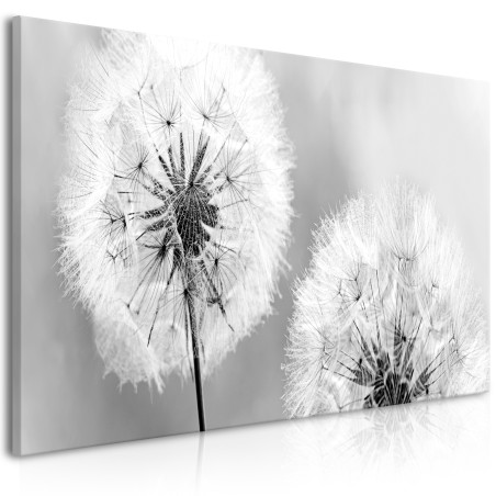 Tablou Fluffy Dandelions (1 Part) Grey Wide-01