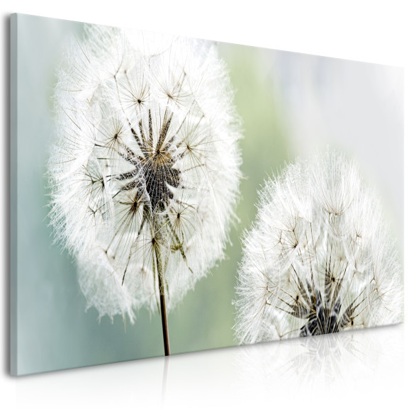 Tablou Fluffy Dandelions (1 Part)...