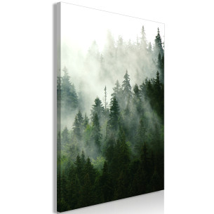 Tablou Coniferous Forest (1...