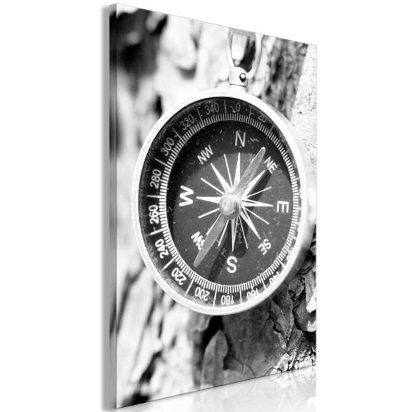 Tablou Black And White Compass (1...