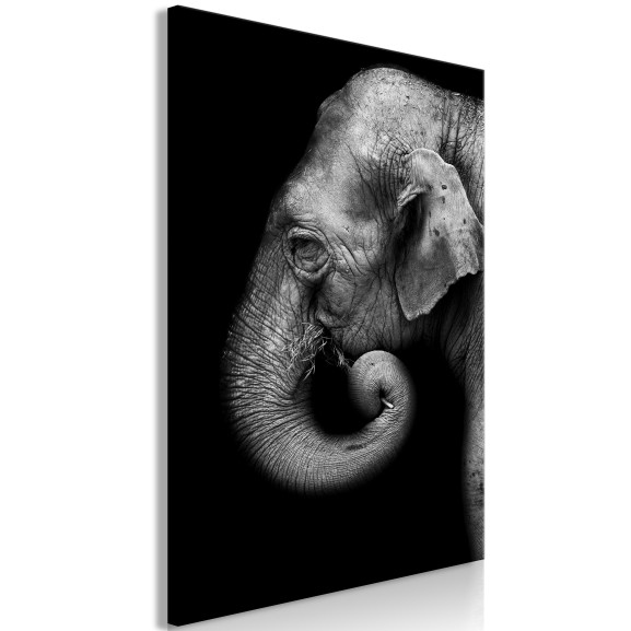 Tablou Portrait Of Elephant (1 Part)...