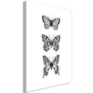 Tablou Three Butterflies (1...