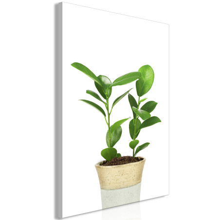 Tablou Plant In Pot (1 Part) Vertical-01