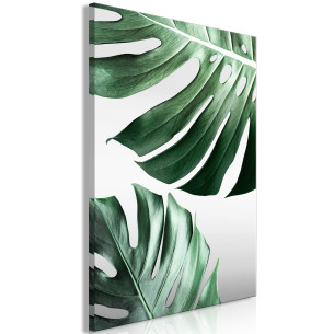 Tablou Monstera Leaves (1...