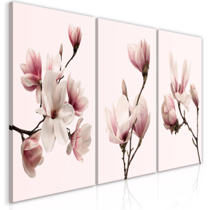 Tablou Spring Magnolias (3...