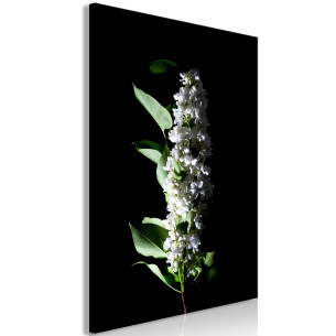 Tablou White Lilacs (1...