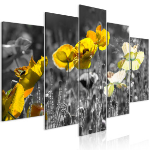 Tablou Yellow Poppies (5...