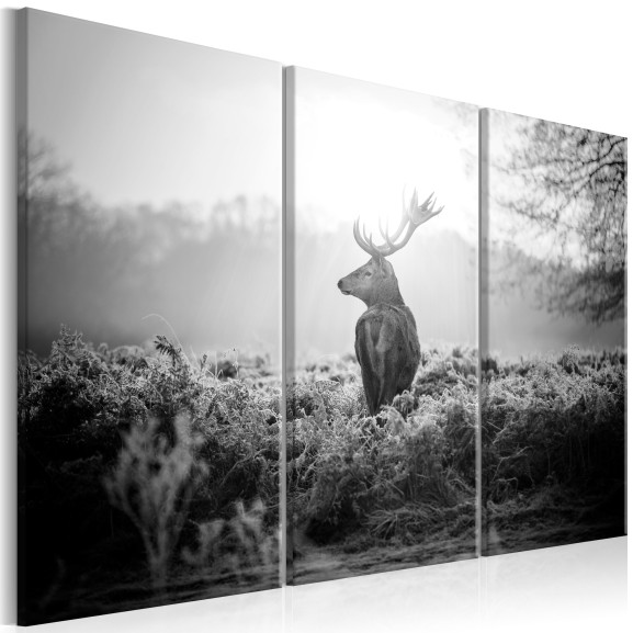 Tablou Black And White Deer I