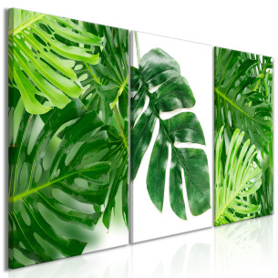 Tablou Palm Leaves (3 Parts)