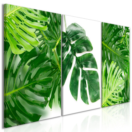 Tablou Palm Leaves (3 Parts)-01