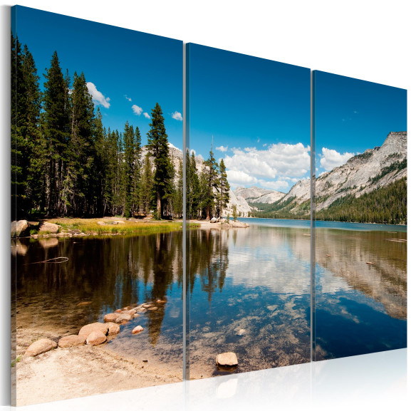 Tablou Mountains, Trees And Pure Lake