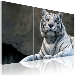 Tablou White Tiger