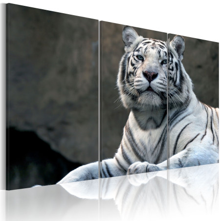 Tablou White Tiger-01