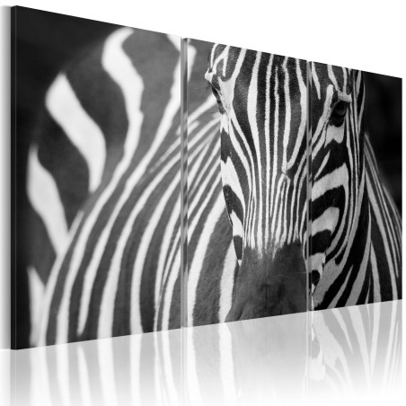 Tablou Mrs. Zebra-01