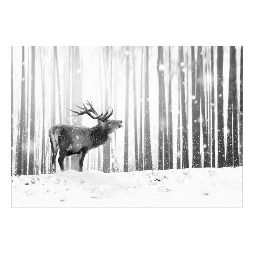 Fototapet Deer in the Snow (Black and White)