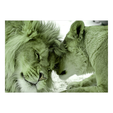 Fototapet Lion Tenderness (Green)-01