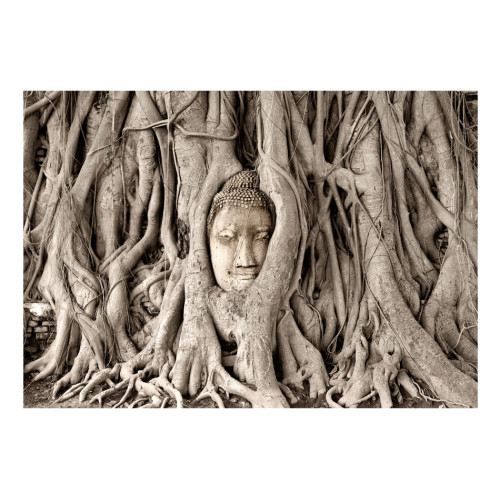 Fototapet Buddha's Tree