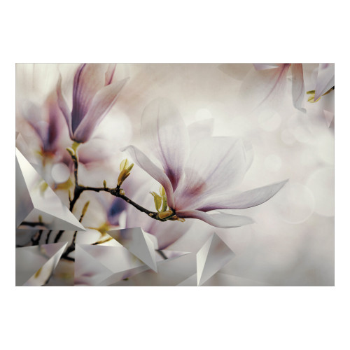 Fototapet Subtle Magnolias First Variant