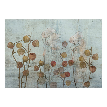 Fototapet Painted Lunaria-01