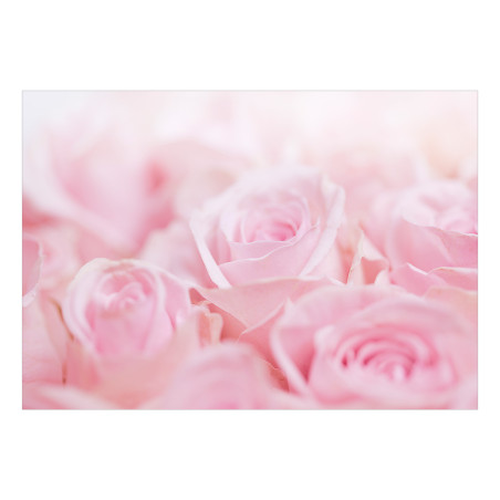 Fototapet Ocean of Roses-01