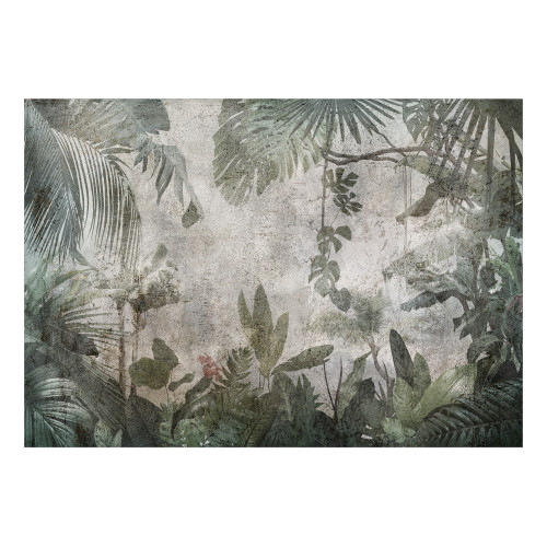 Fototapet Rain Forest in the Fog