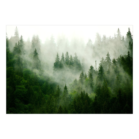 Fototapet Mountain Forest (Green)-01