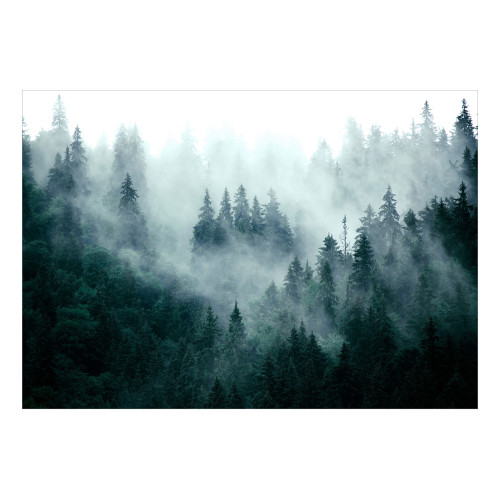 Fototapet Mountain Forest (Dark Green)