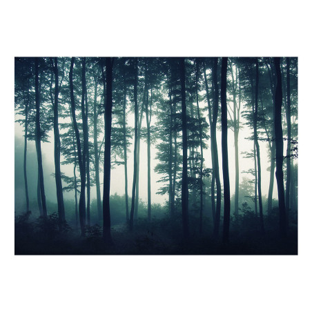 Fototapet Dark Forest-01