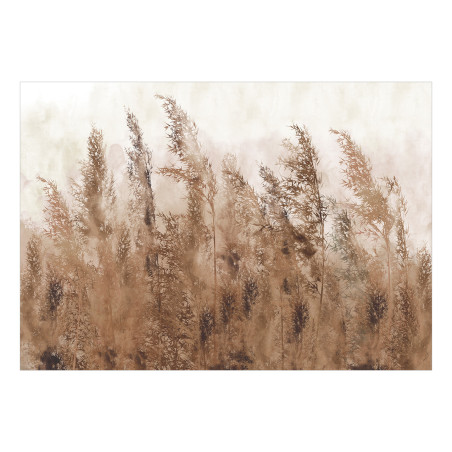 Fototapet Tall Grasses Brown-01