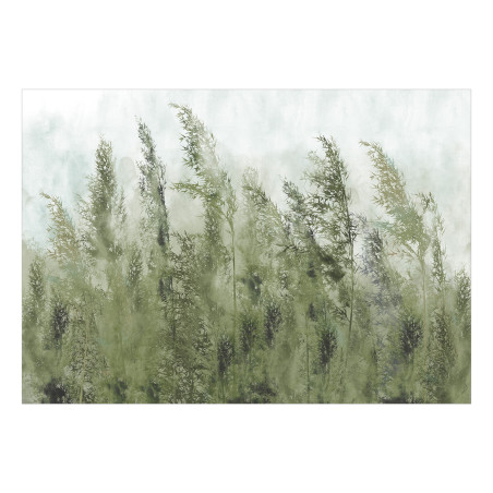 Fototapet Tall Grasses Green-01