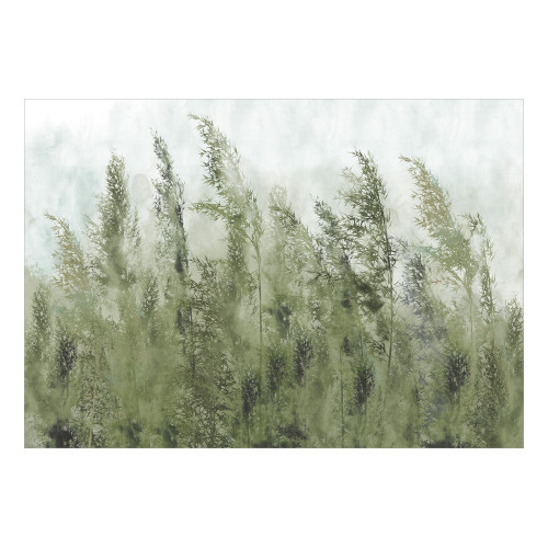 Fototapet Tall Grasses Green