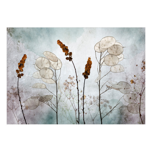 Fototapet Lunaria in the Meadow