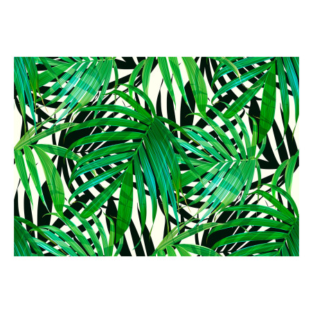 Fototapet autoadeziv Tropical Leaves-01