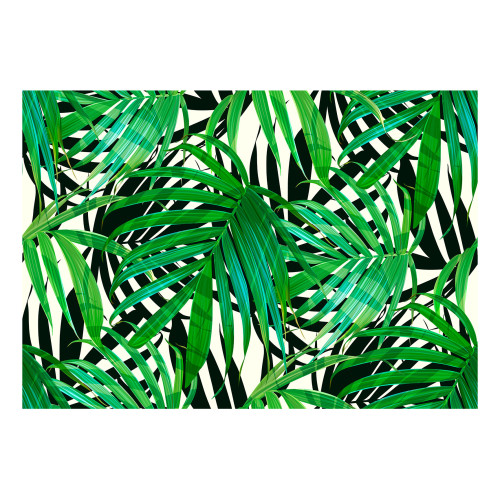 Fototapet autoadeziv Tropical Leaves