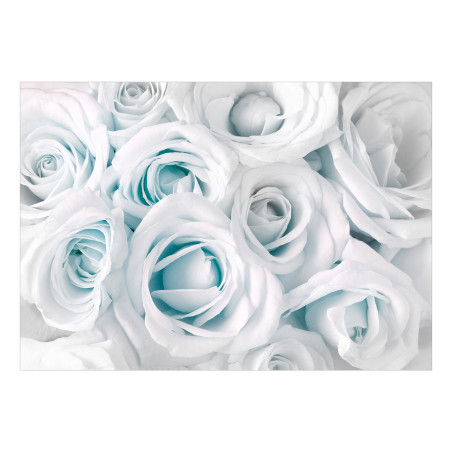 Fototapet autoadeziv Satin Rose (Turquoise)-01