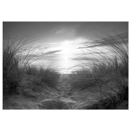 Fototapet autoadeziv beach (black and white)-01