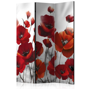 Paravan Poppies in the Moonlight [Room Dividers]