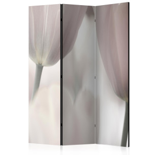 Paravan Tulips fine art black and white [Room Dividers]